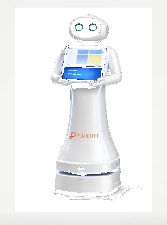 Devibot education robot — conversational AI guide